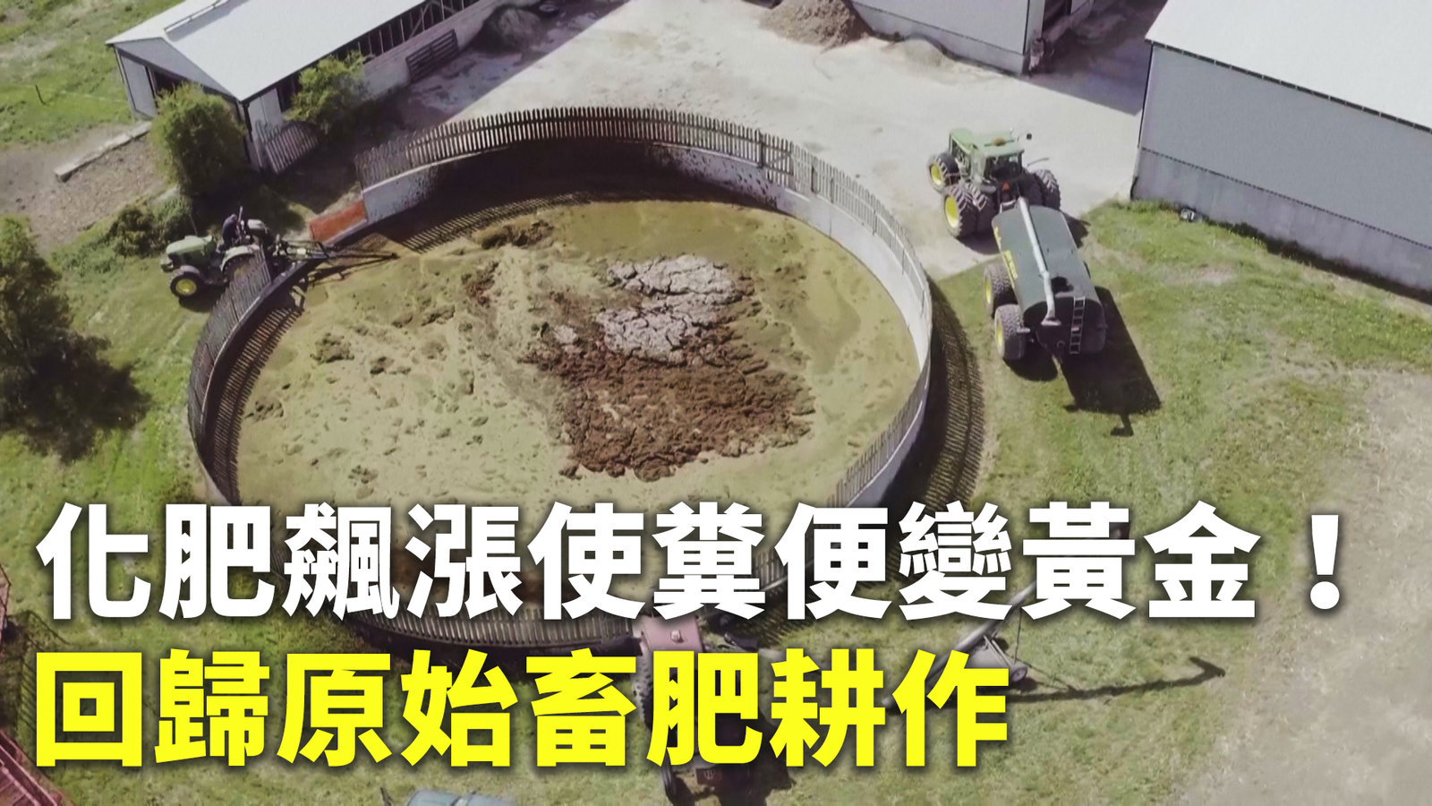 化肥飆漲使糞便變黃金!回歸原始畜肥耕作