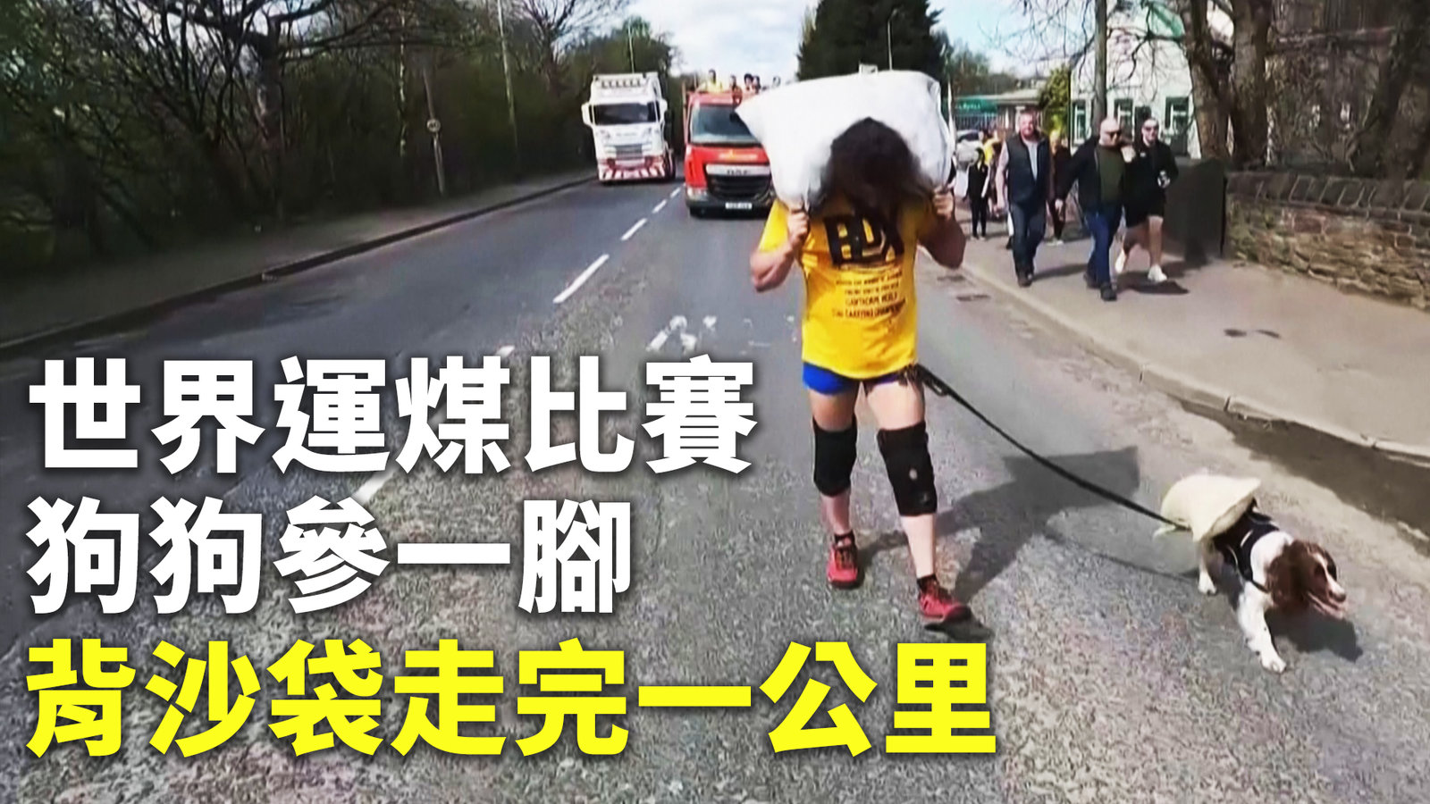 世界運煤比賽狗狗參一腳 背沙袋走完一公里