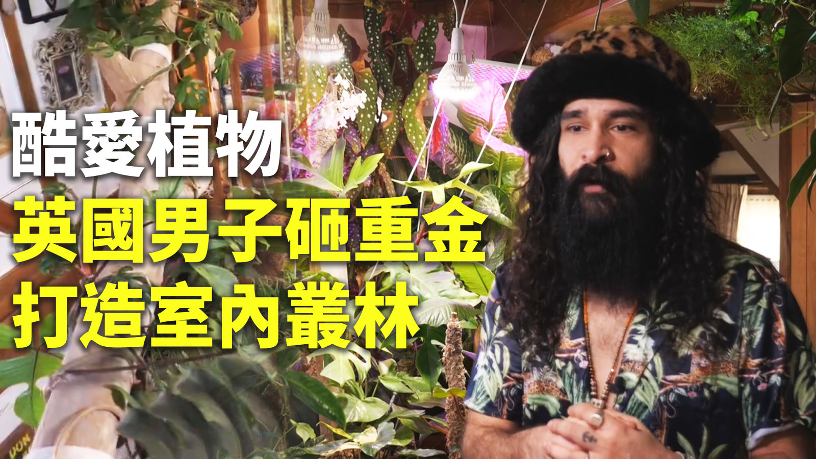 酷愛植物 英國男子砸重金打造室內叢林