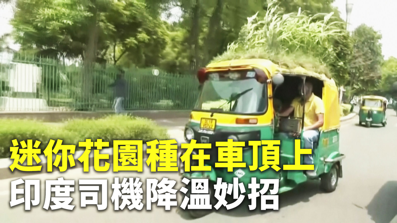 迷你花園種在車頂上 印度司機降溫妙招