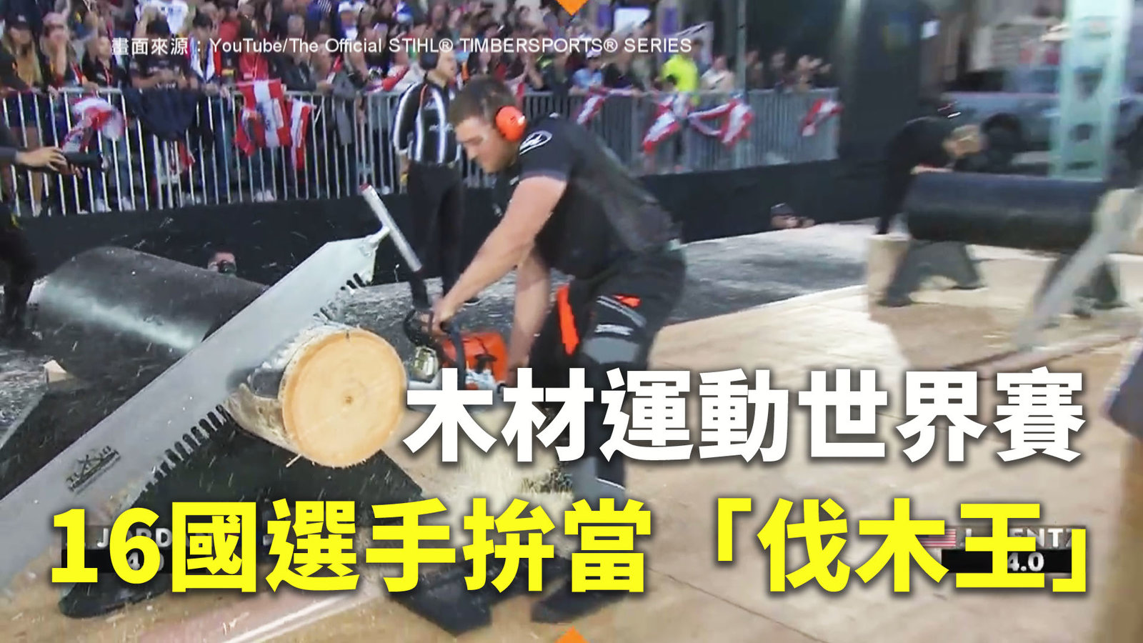 木材運動世界賽 16國選手拚當「伐木王」