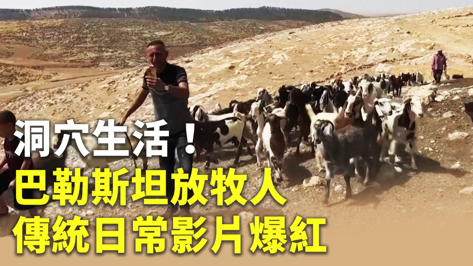 洞穴生活!巴勒斯坦放牧人傳統日常影片爆紅