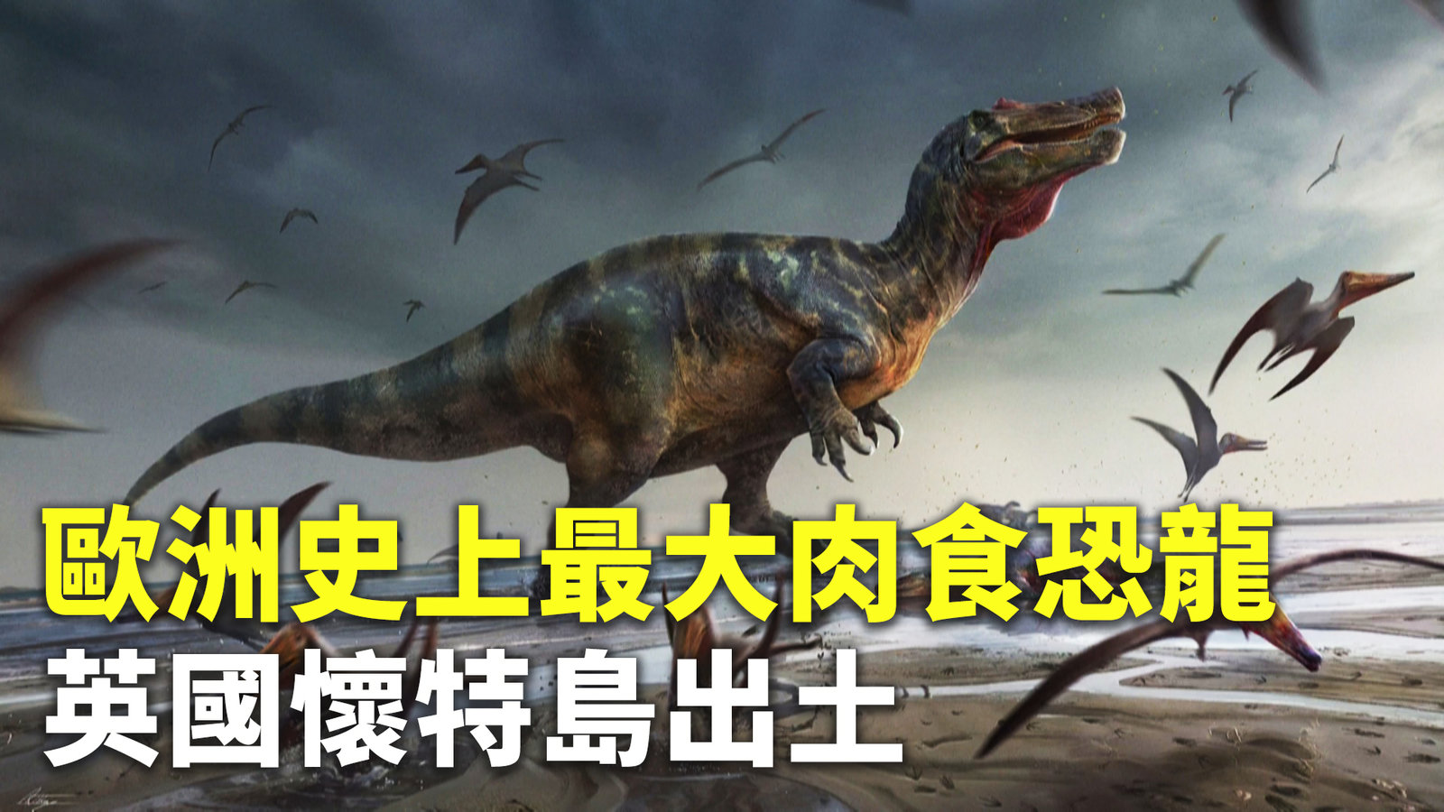 歐洲史上最大肉食恐龍 英國懷特島出土