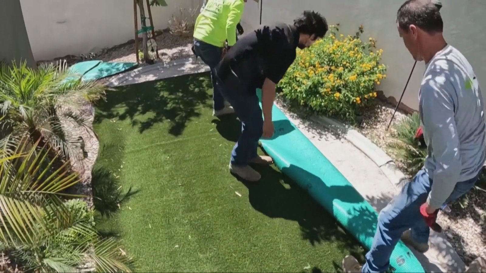 為保水源 拉斯維加斯移除1.8億平方英尺草坪