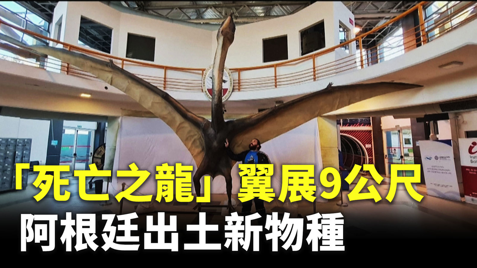 「死亡之龍」翼展9公尺 阿根廷出土新物種