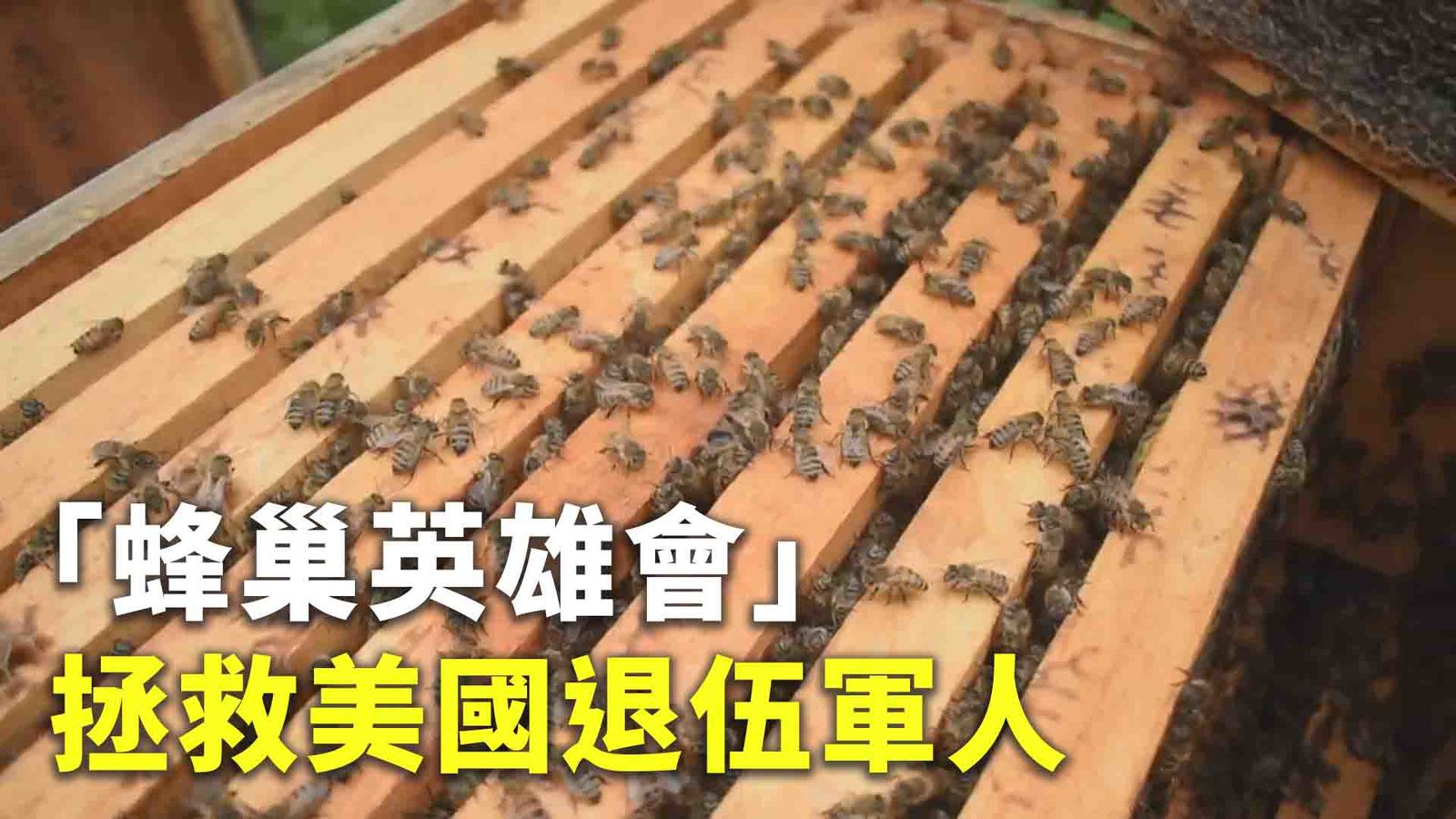 「蜂巢英雄會」拯救美國退伍軍人