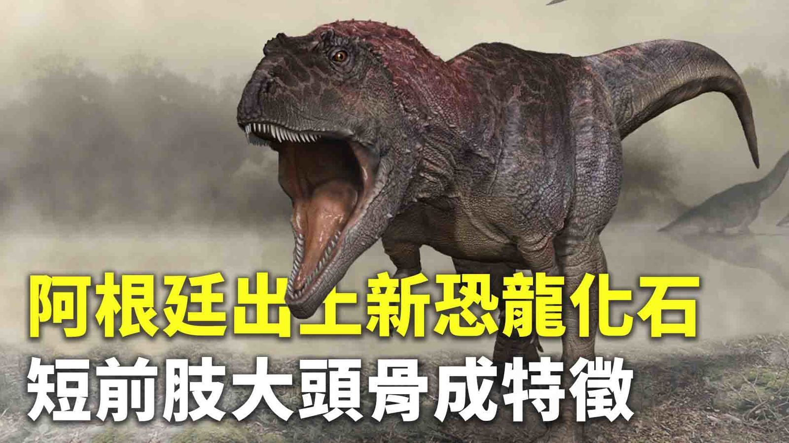 阿根廷出土新恐龍化石 短前肢大頭骨成特徵