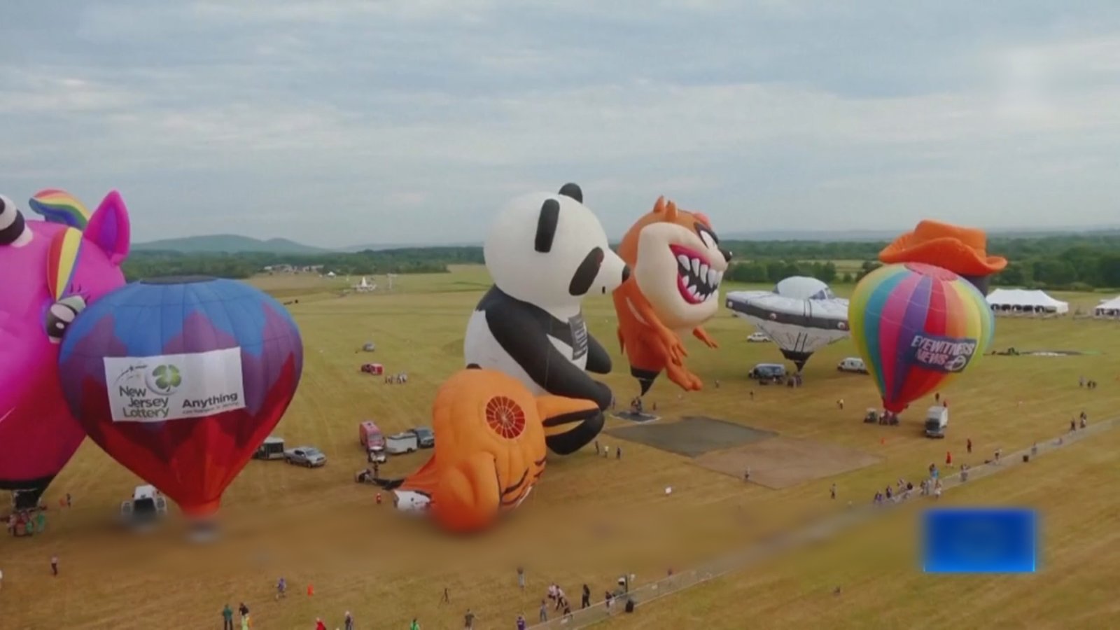 花園之州熱氣球節 釋放每個人心中的童真