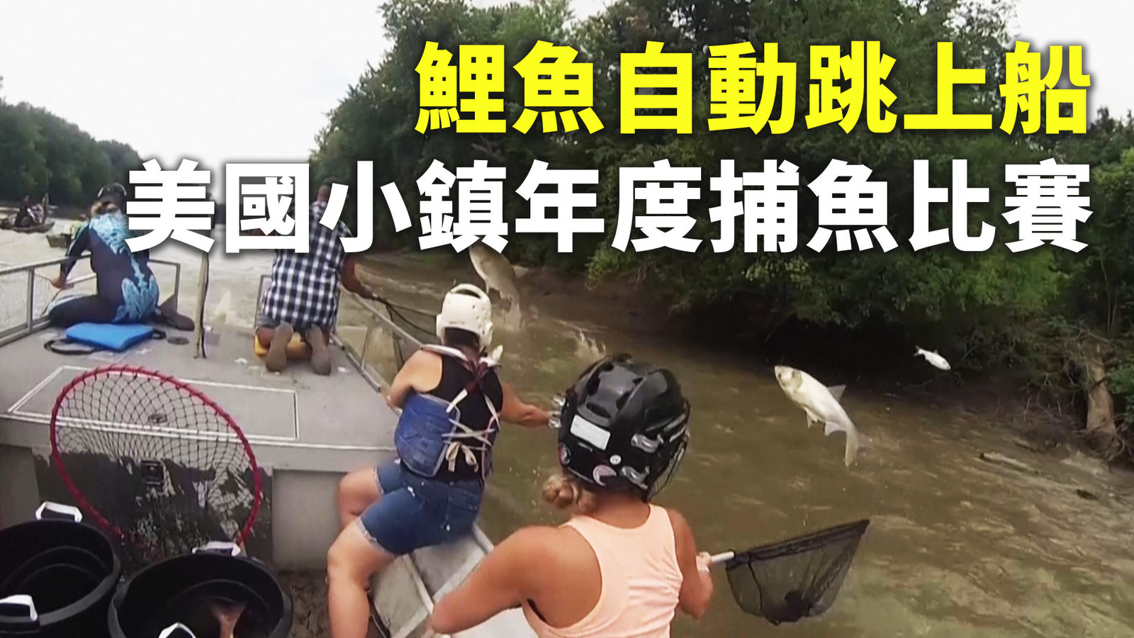 鯉魚自動跳上船 美國小鎮年度捕魚比賽