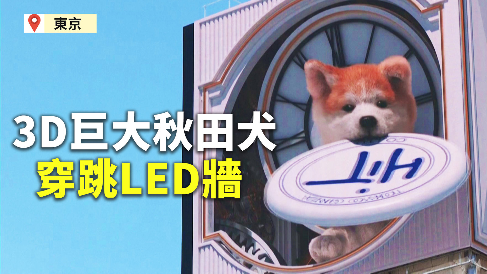 3D巨大秋田犬穿跳LED牆 東京街頭民眾搶拍