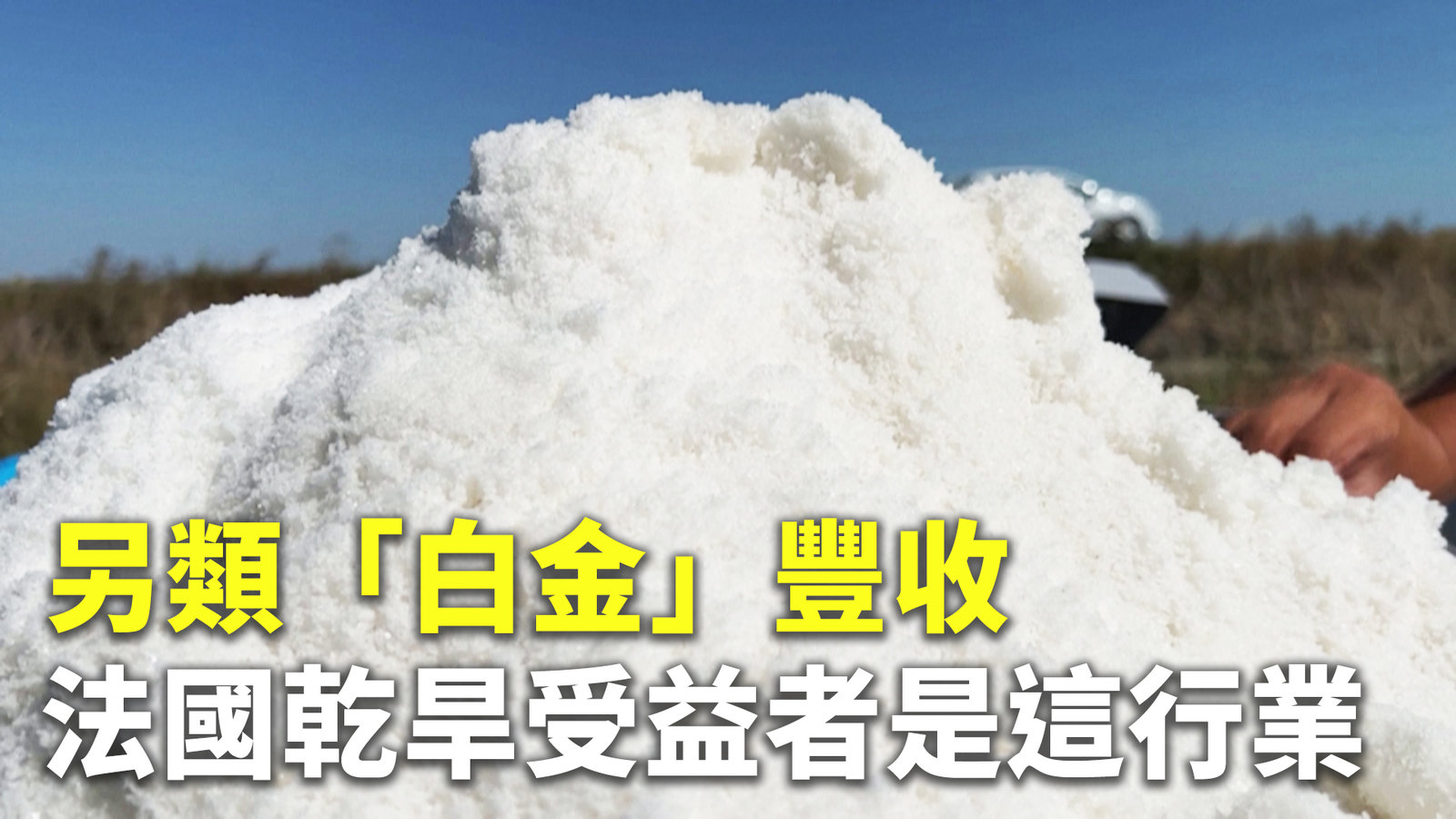 另類「白金」豐收 法國乾旱受益者是這行業