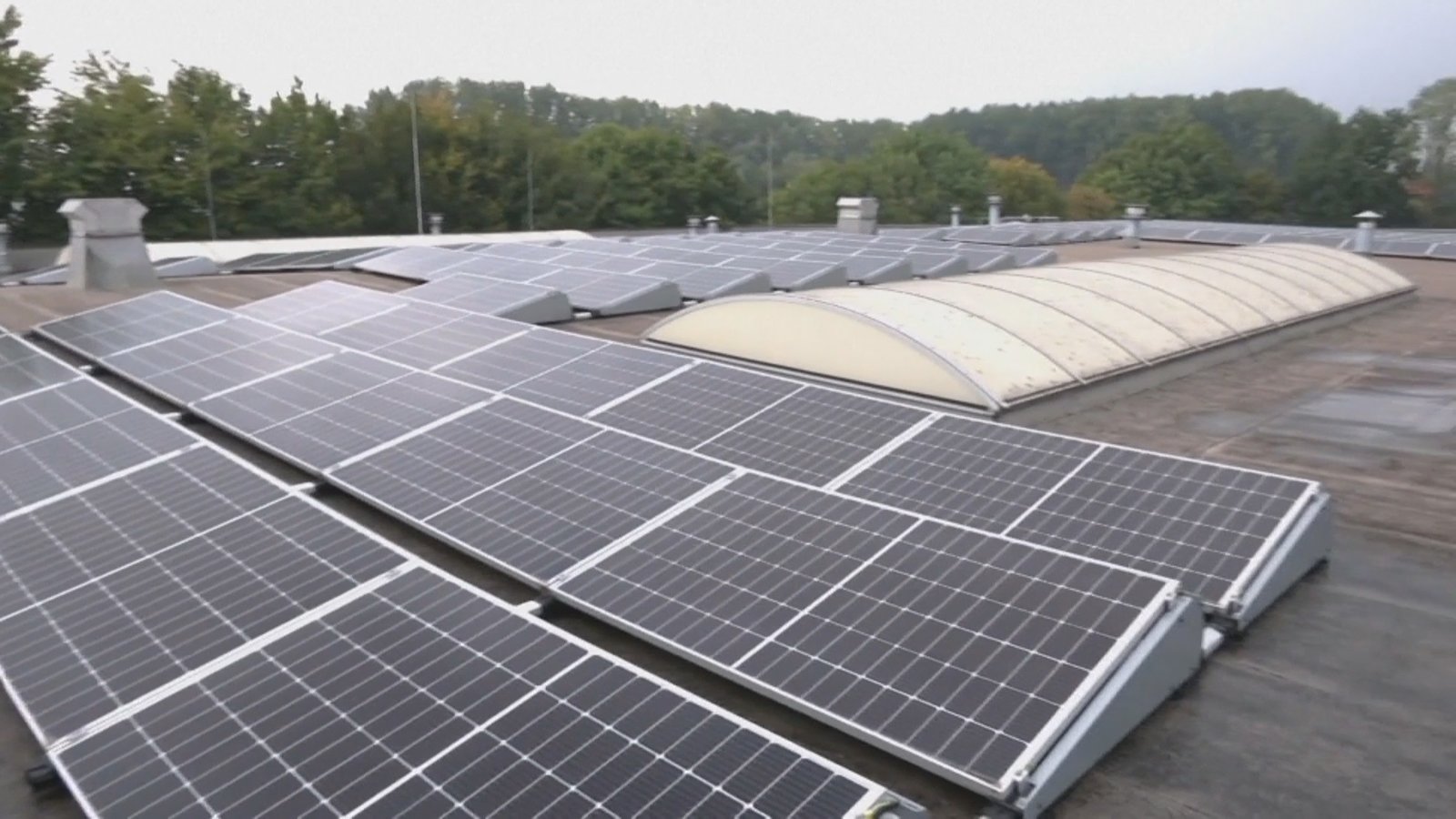 歐洲電費大漲 比利時新能源爆紅