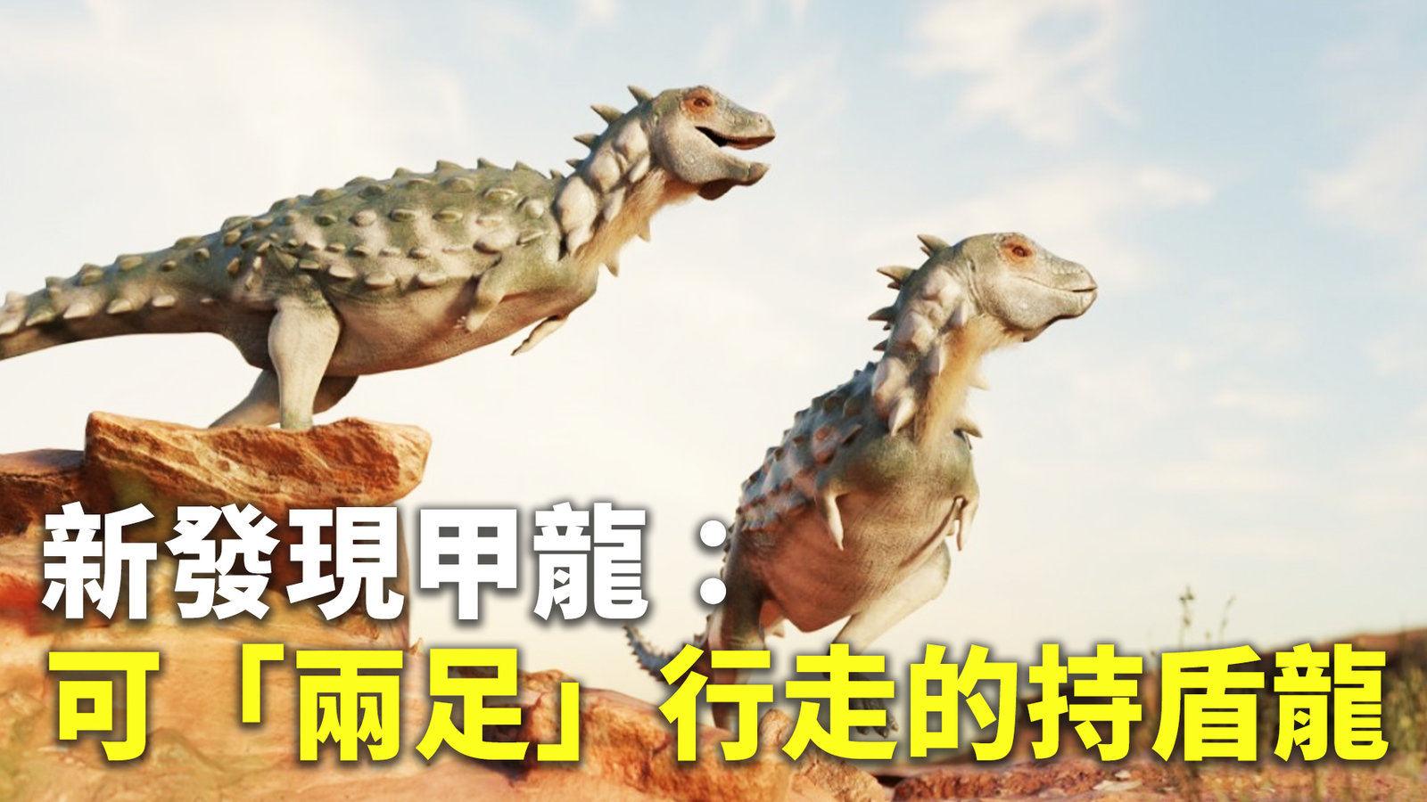 新發現甲龍:可「兩足」行走的持盾龍