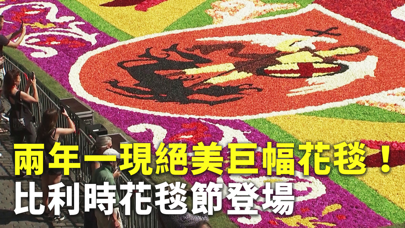 兩年一現絕美巨幅花毯!比利時花毯節登場
