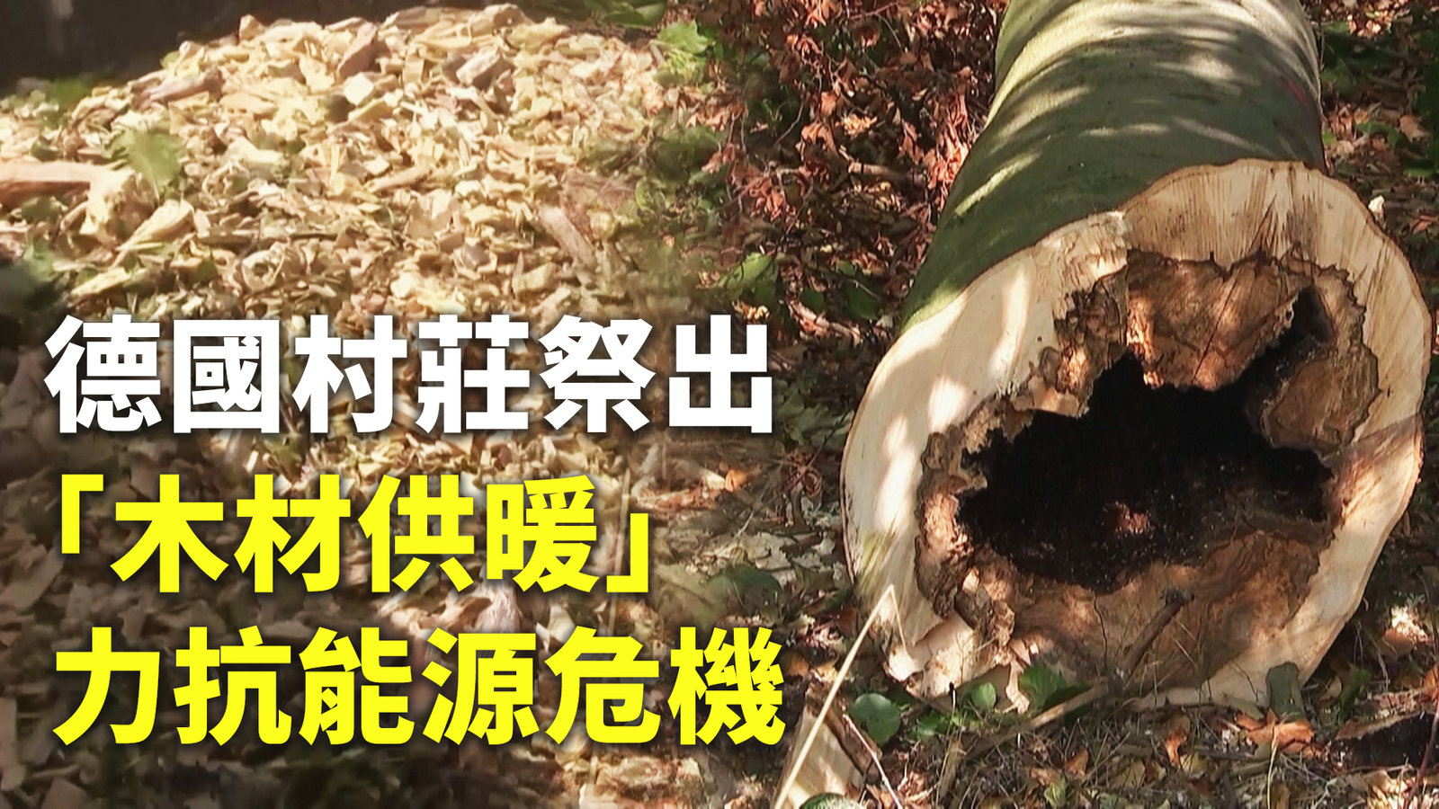 德國村莊祭出「木材供暖」力抗能源危機