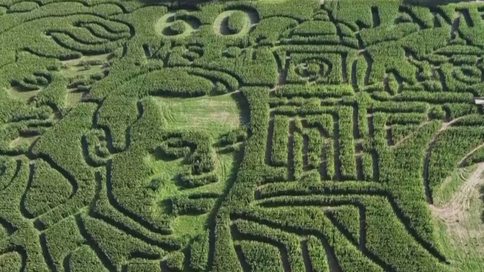 世界最大玉米迷宮 俯視007巨幅畫像