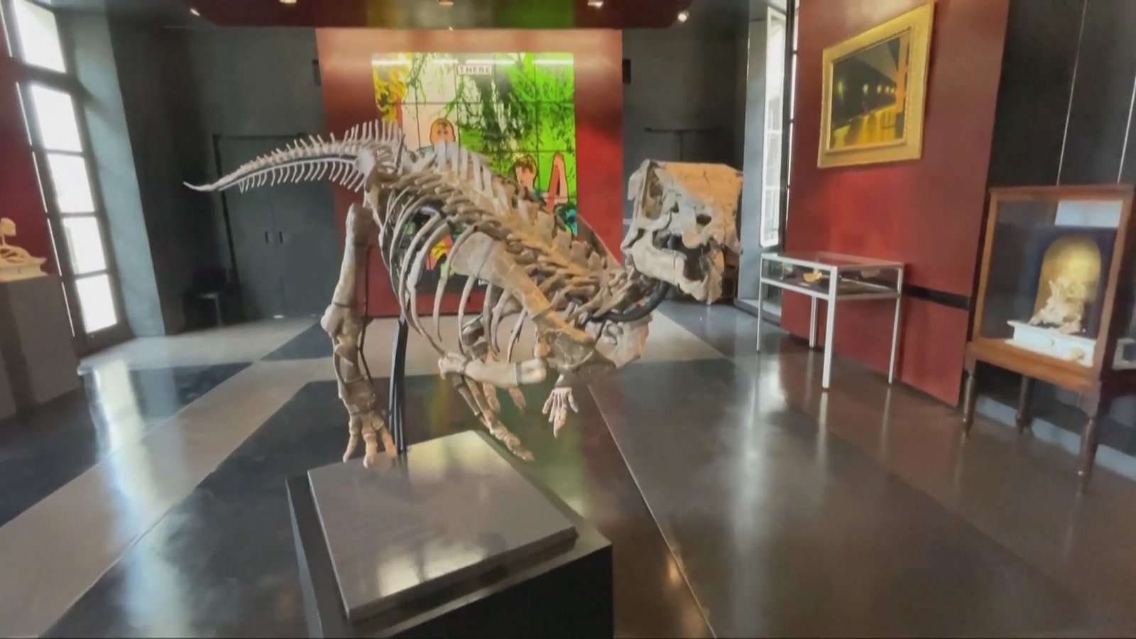 把恐龍請回家?法國將拍賣小型恐龍骨架