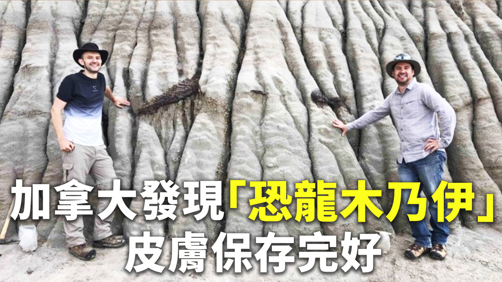 加拿大發現「恐龍木乃伊」皮膚保存完好