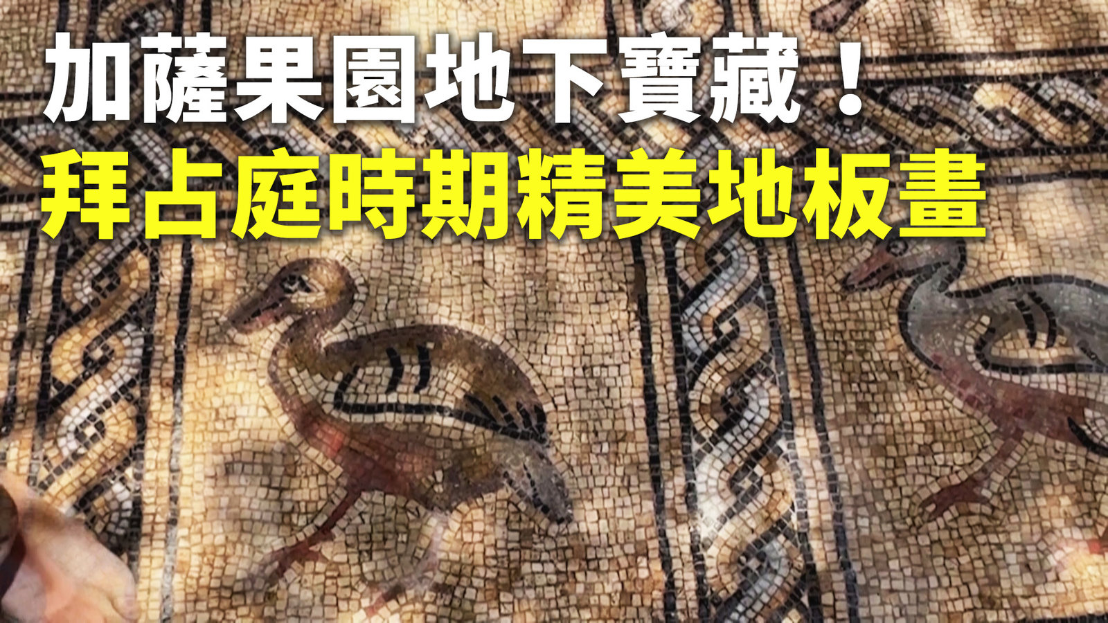 加薩果園地下寶藏!拜占庭時期精美地板畫
