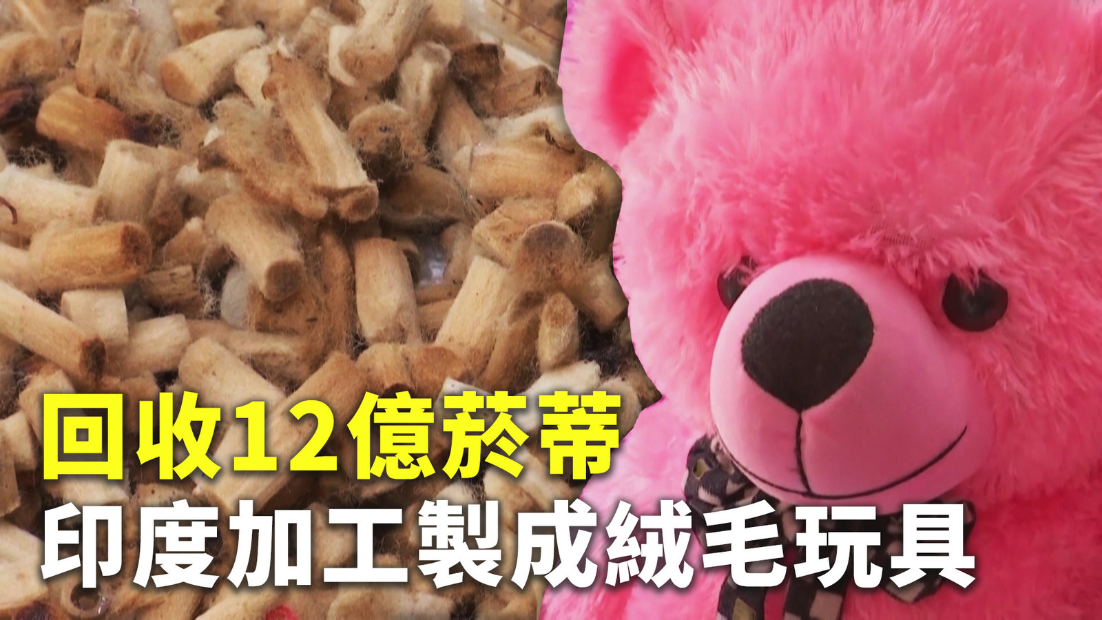 回收12億菸蒂 印度加工製成絨毛玩具