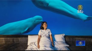 小白鯨.企鵝伴入眠!夜宿屏東海生館人氣回溫