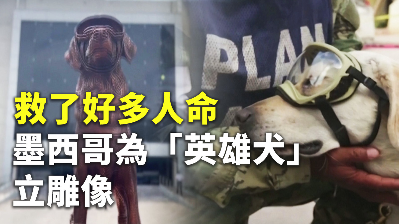 救了好多人命 墨西哥為「英雄犬」立雕像