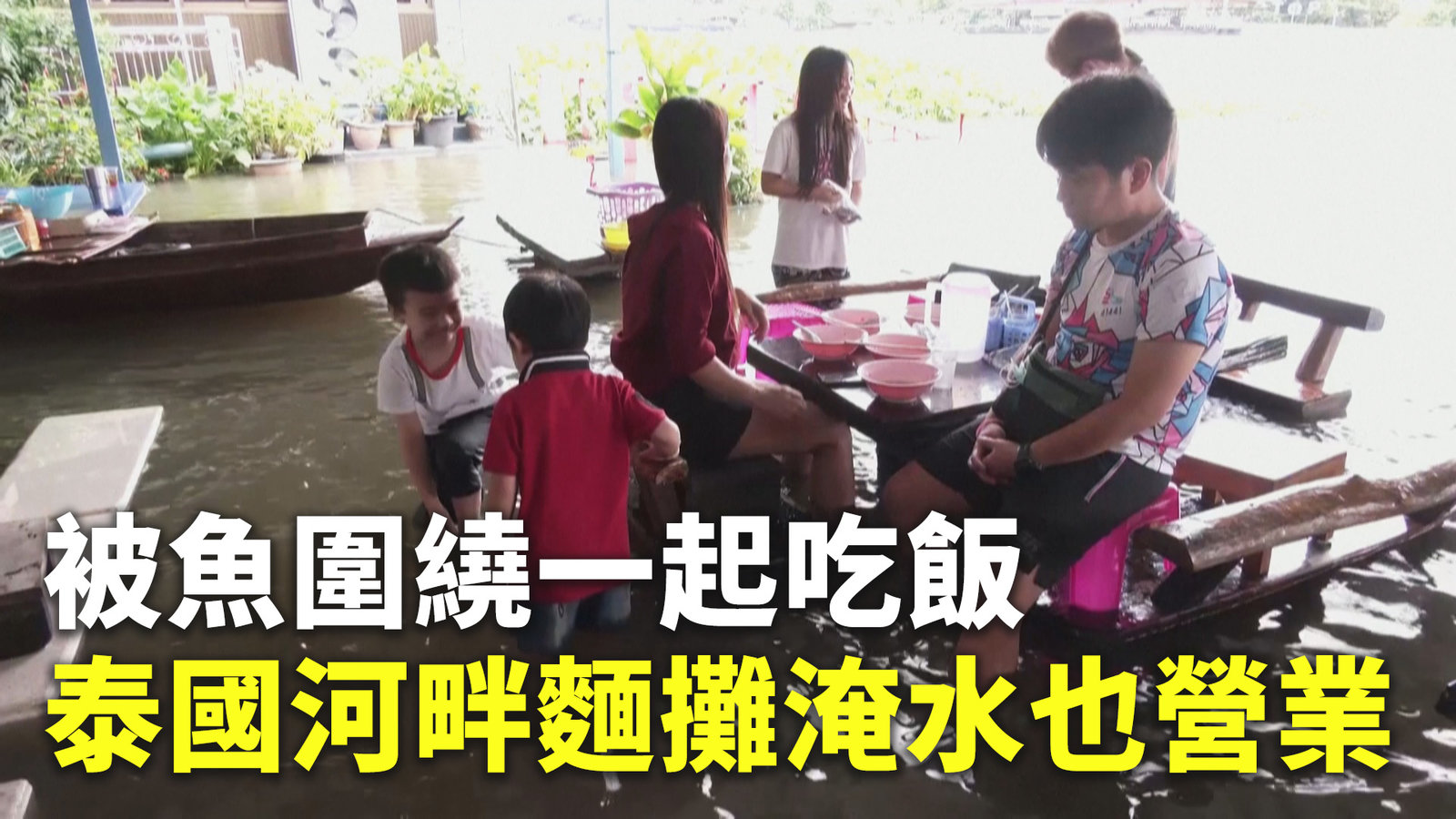被魚圍繞一起吃飯 泰國河畔麵攤淹水也營業