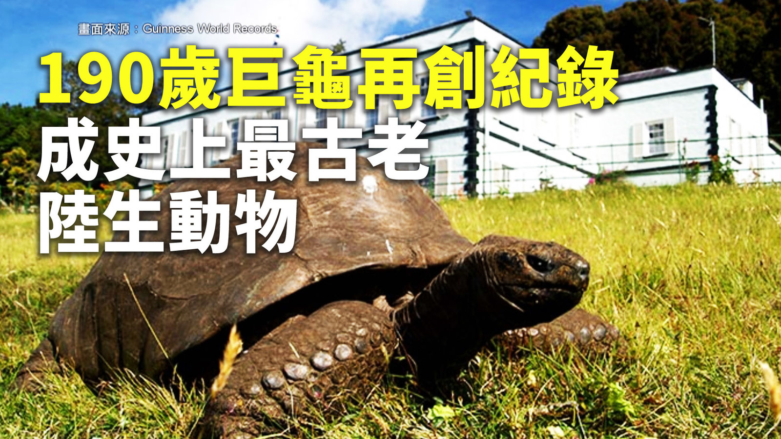 190歲巨龜再創紀錄 成史上最古老陸生動物