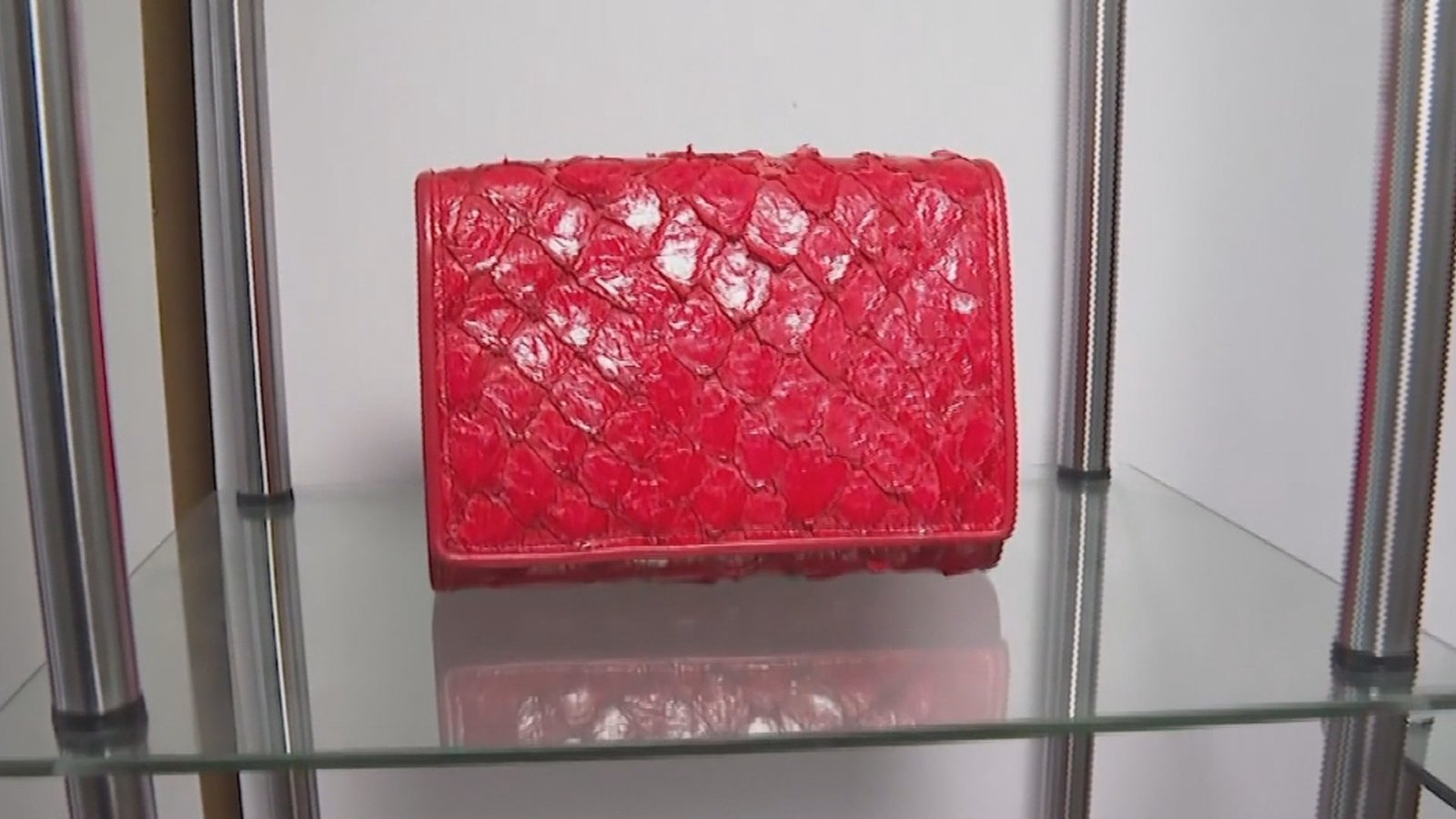 時尚界皮革新寵?亞馬遜魚皮變身奢華女包