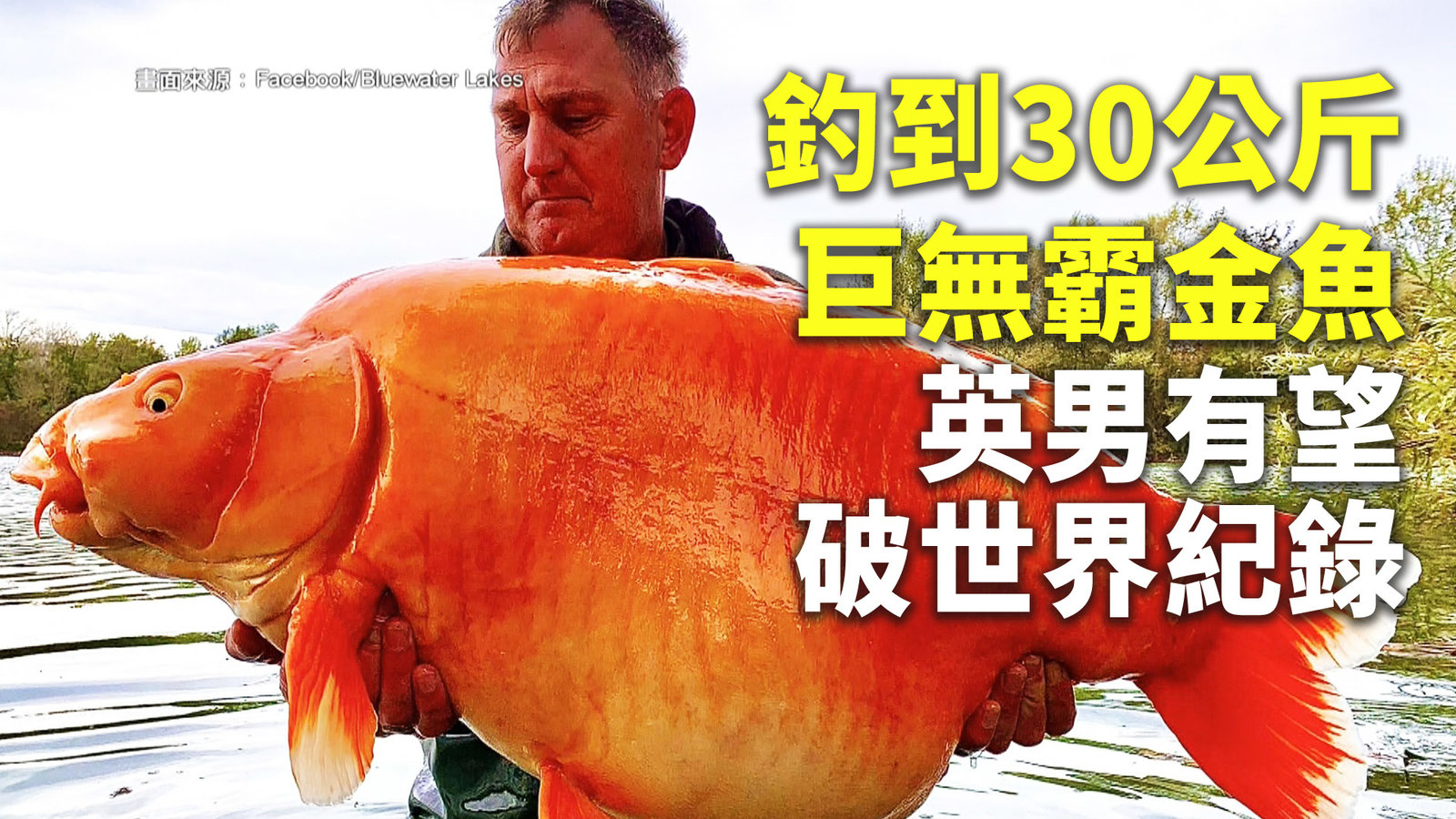 釣到30公斤巨無霸金魚 英男有望破世界紀錄