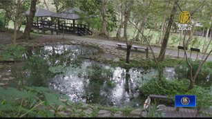 森林微旅行 台東知本泡湯、運動、休閒好去處