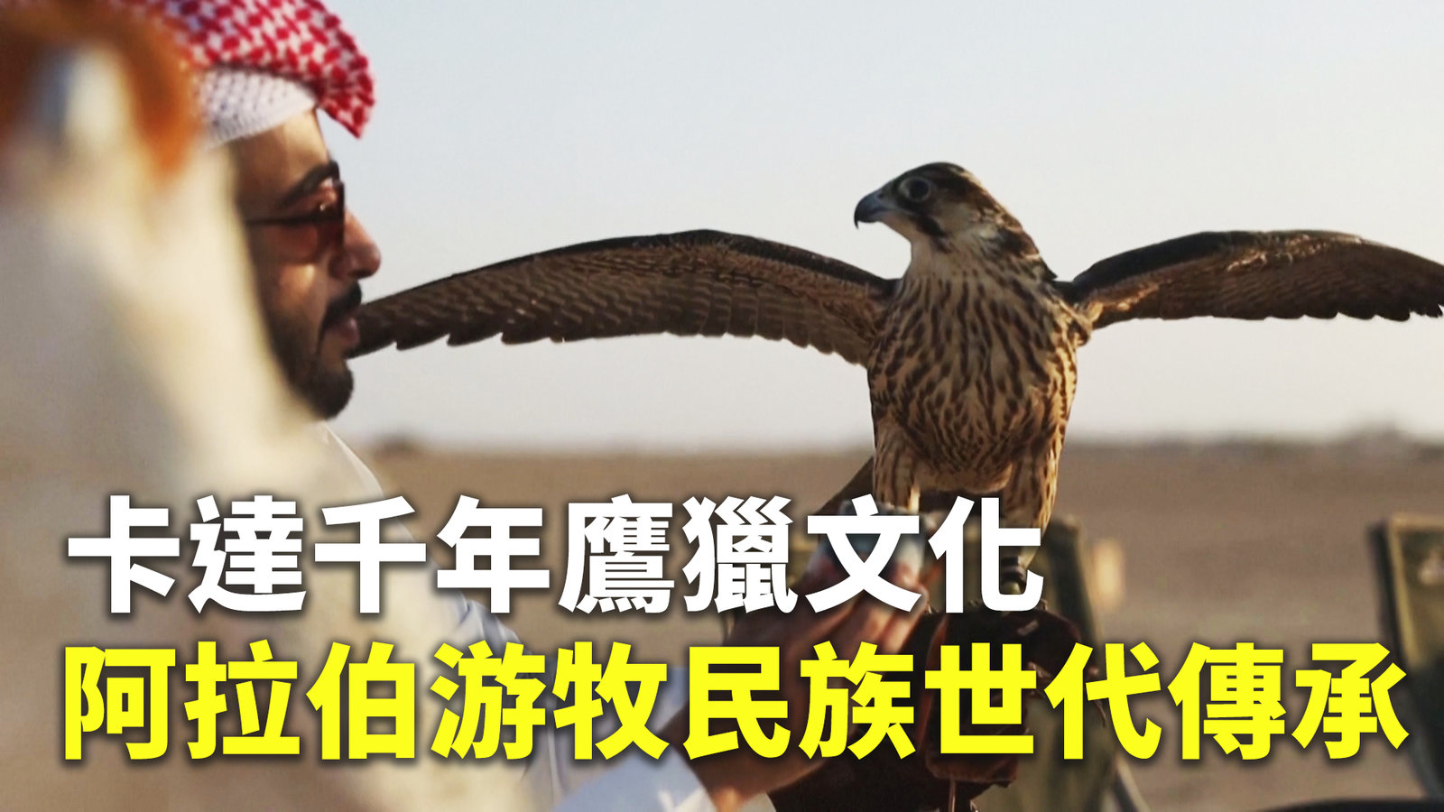卡達千年鷹獵文化 阿拉伯游牧民族世代傳承