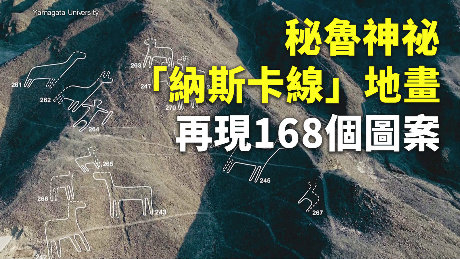 秘魯神祕「納斯卡線」地畫 再現168個圖案