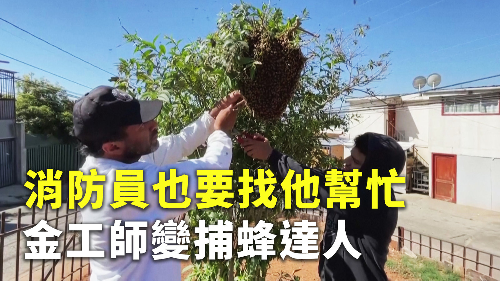 消防員也要找他幫忙 金工師變捕蜂達人