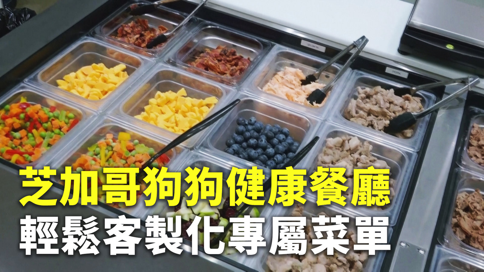 芝加哥狗狗健康餐廳 輕鬆客製化專屬菜單