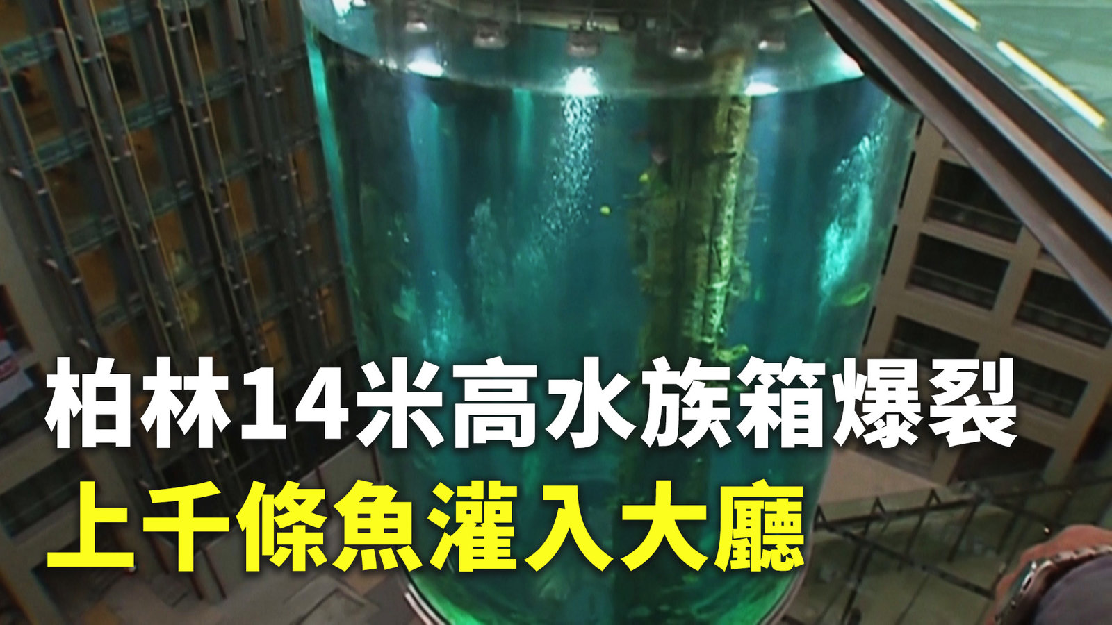 柏林14米高水族箱爆裂 上千條魚灌入大廳