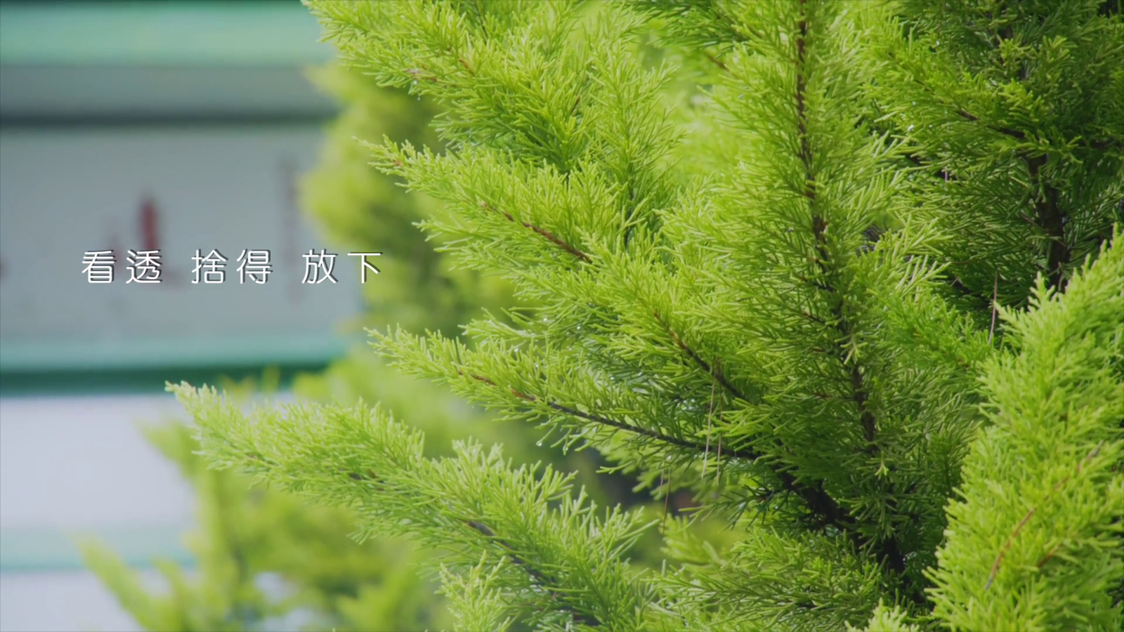 【廣告】廣讚公司(四)