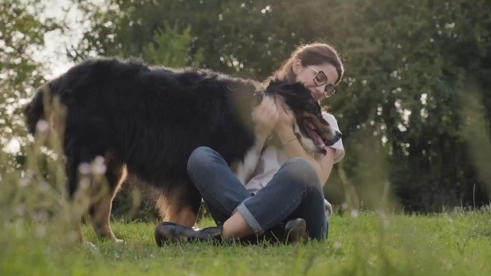 新年願望是更健康? 或許寵物能幫忙