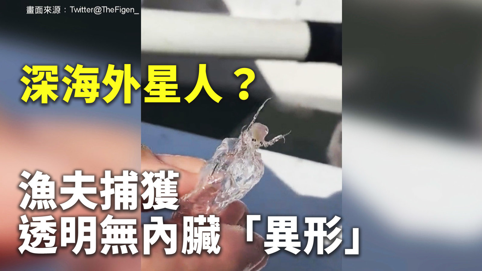 深海外星人?漁夫捕獲透明無內臟「異形」
