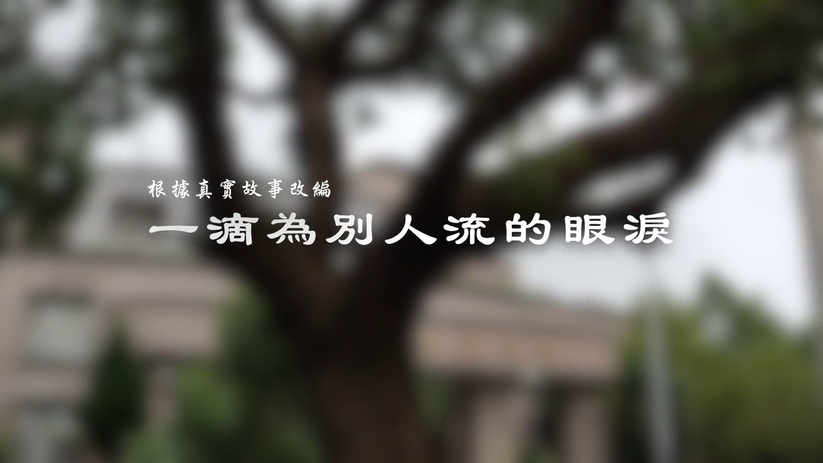 讓愛傳出去 一滴為別人流的淚1080