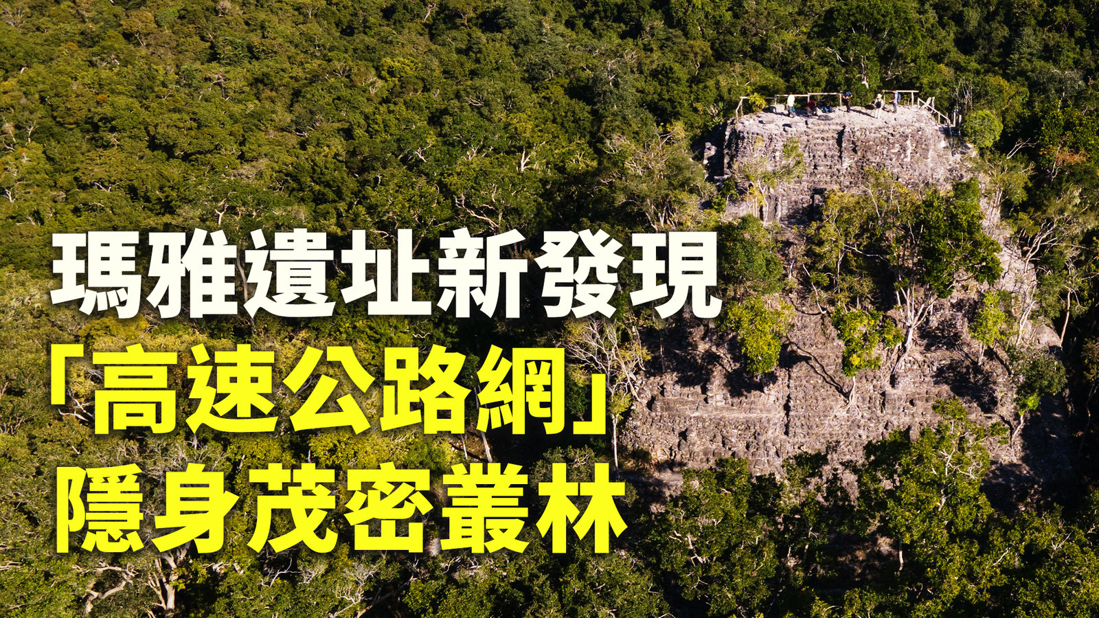 瑪雅遺址新發現「高速公路網」隱身茂密叢林