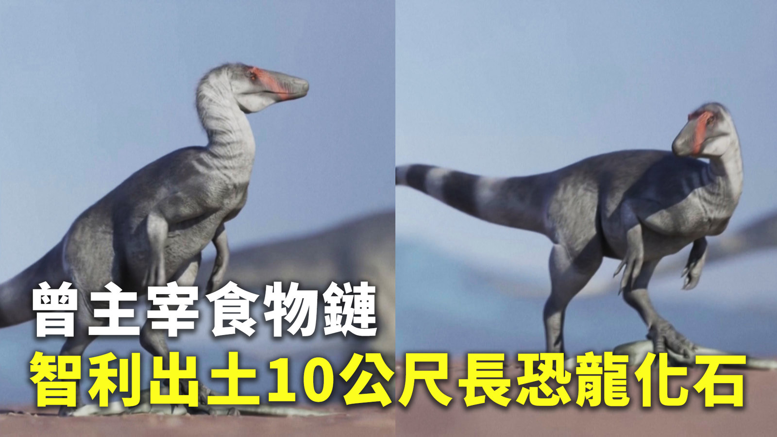 智利出土10公尺長恐龍化石 曾主宰食物鏈