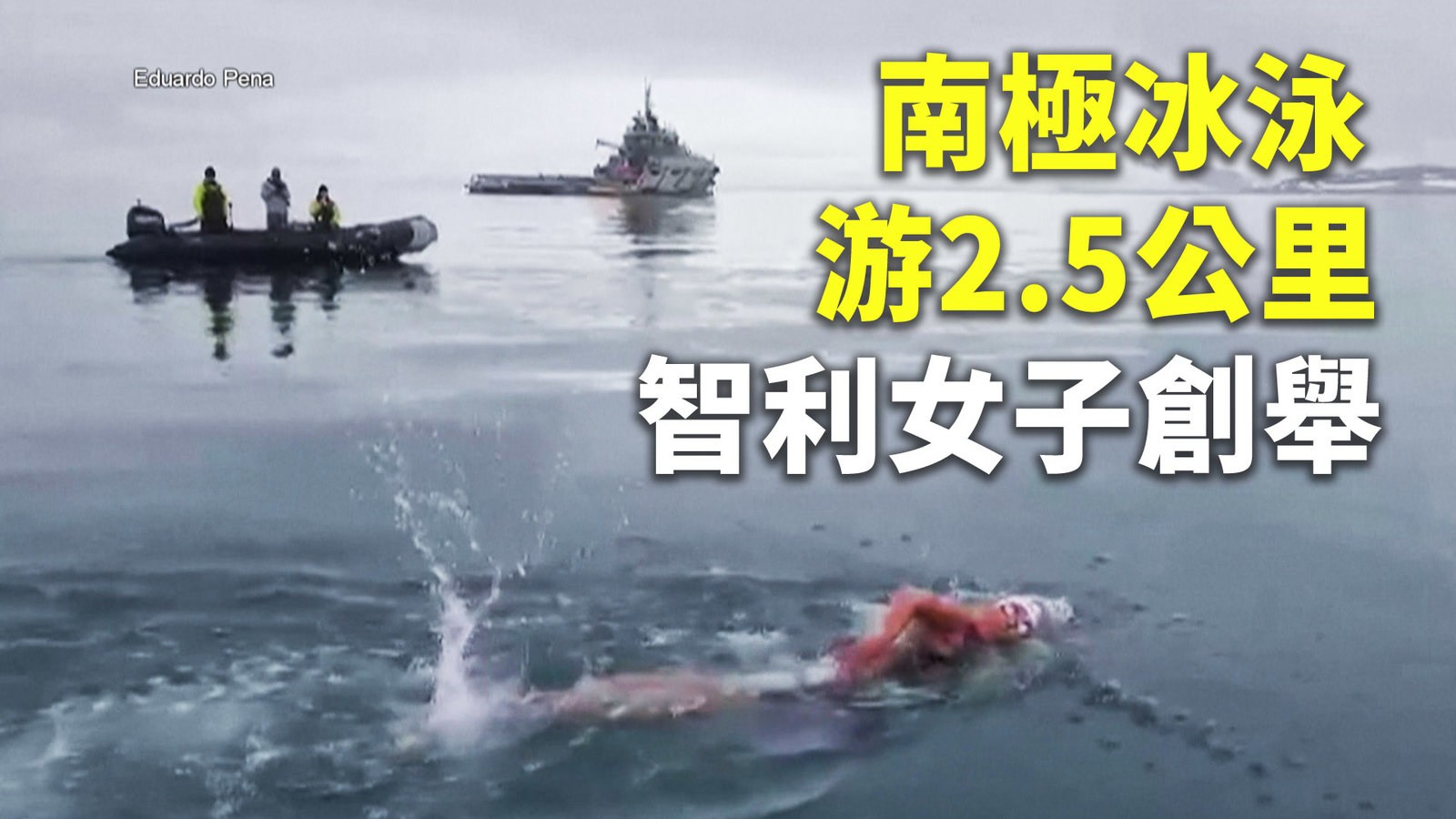 南極冰泳游2.5公里 智利女子創舉