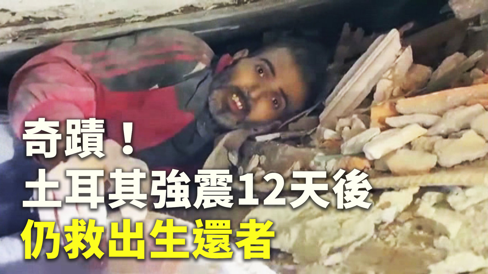 奇蹟!土耳其強震12天後仍救出生還者