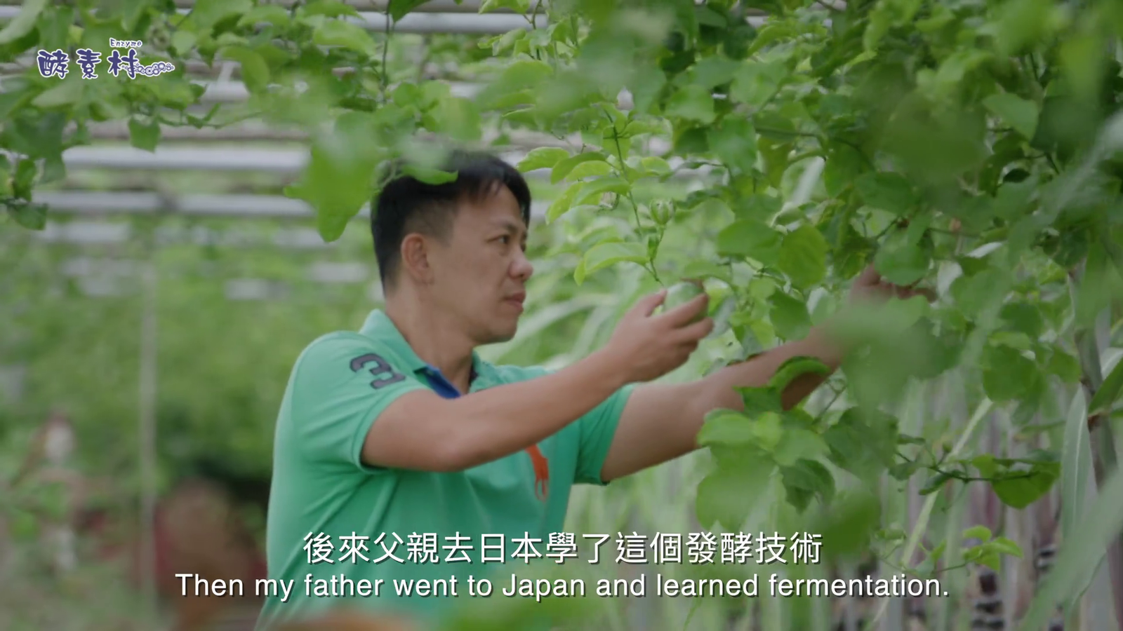 台灣酵素村_ESG形象片