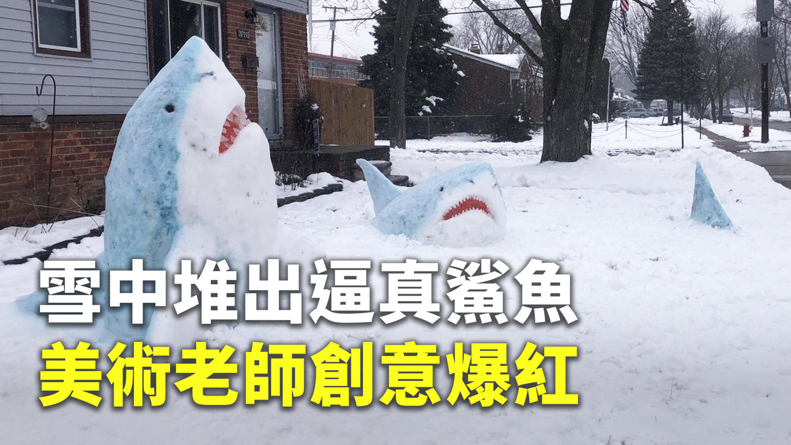 雪中堆出逼真鯊魚 美術老師創意爆紅