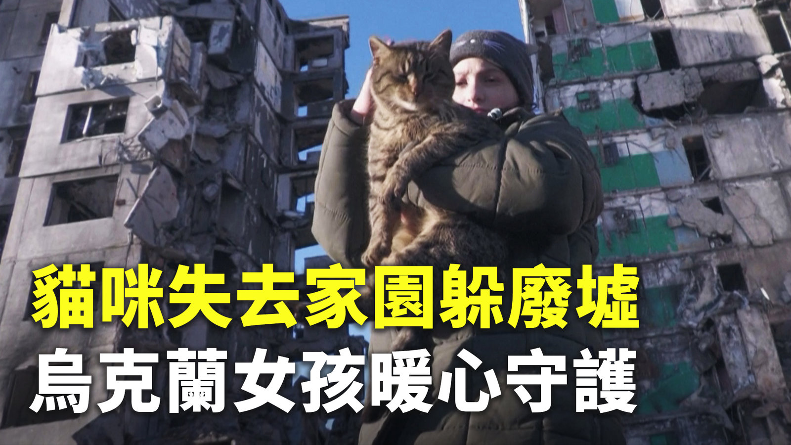 貓咪失去家園躲廢墟 烏克蘭女孩暖心守護