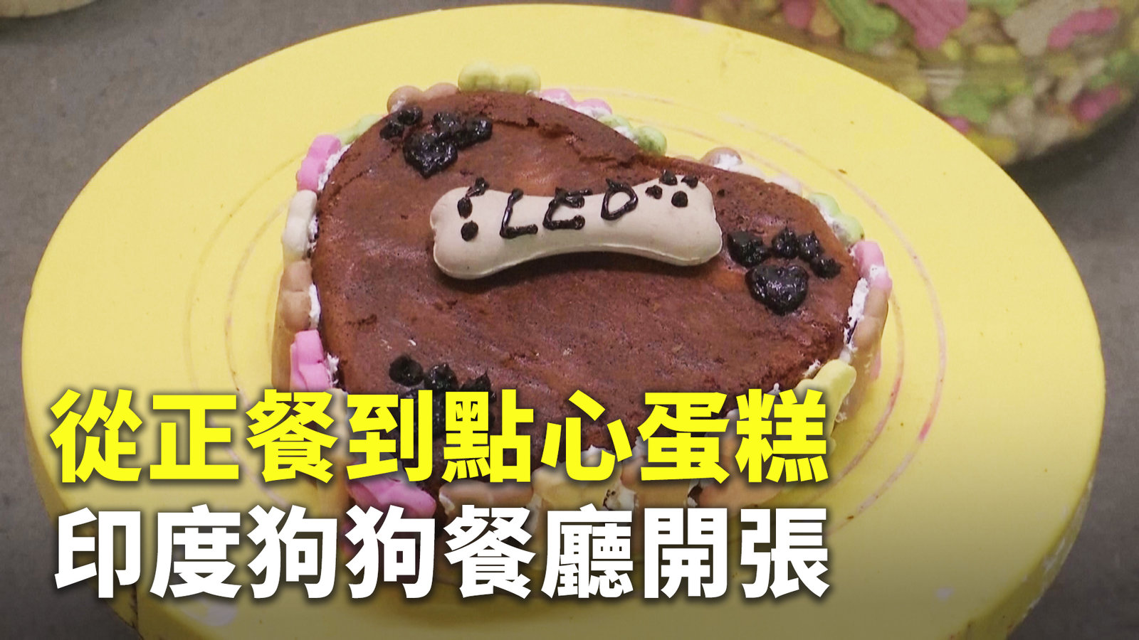 從正餐到點心蛋糕 印度狗狗餐廳開張