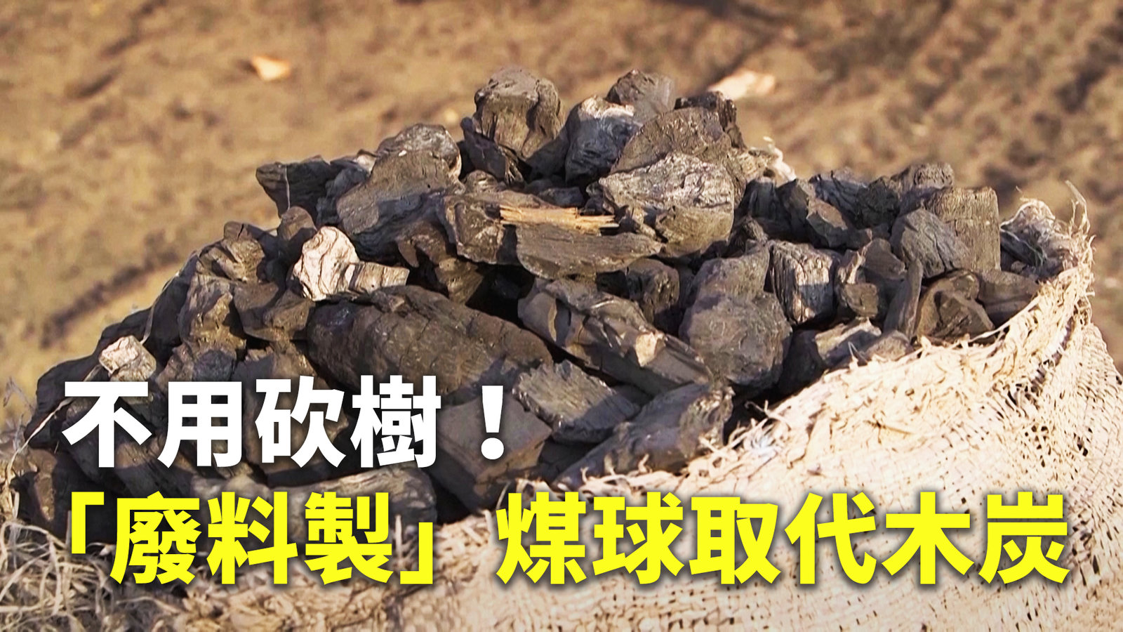 不用砍樹!「廢料製」煤球取代木炭