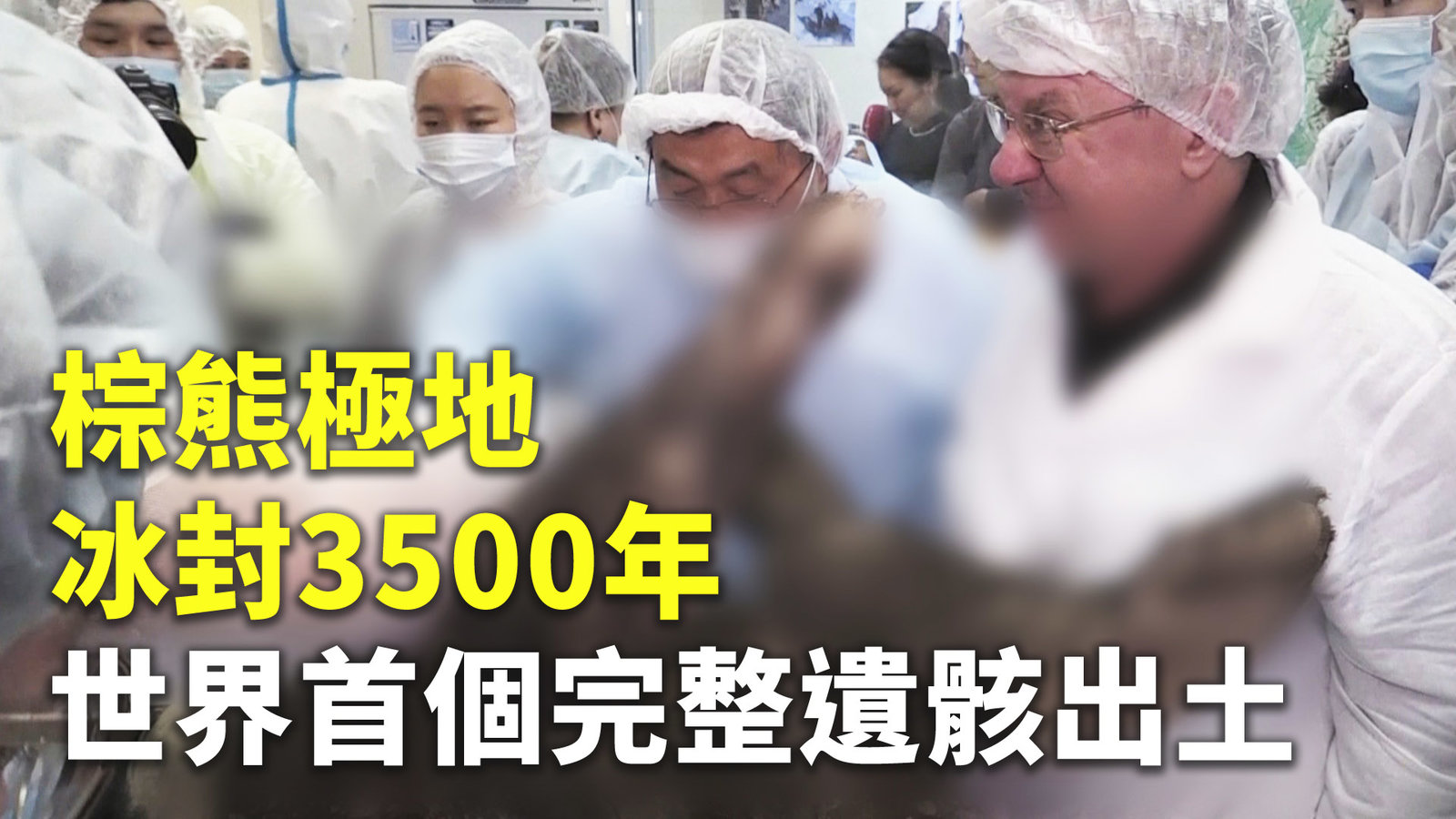 棕熊極地冰封3500年 世界首個完整遺骸出土